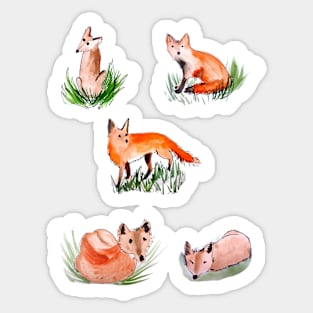 Playful Cute Foxes Sticker